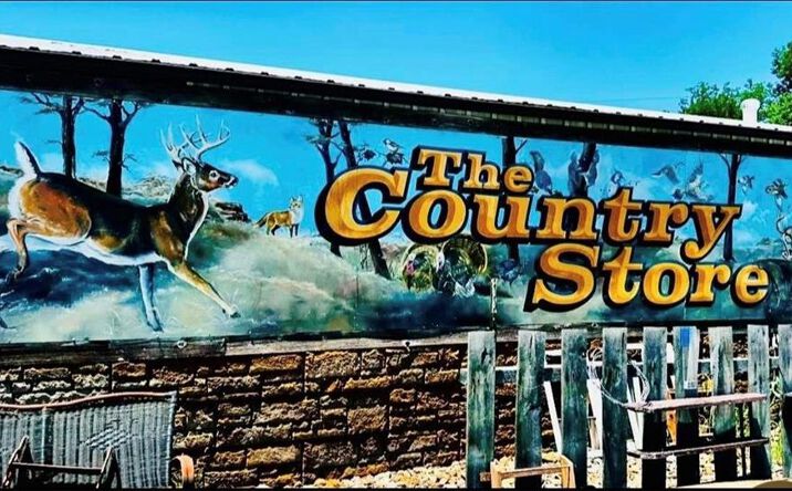 Pictures of Business for Sale, Retail property located at 11761 N 13 Highway, Chilhowee, MO 64733 for sales - image #1