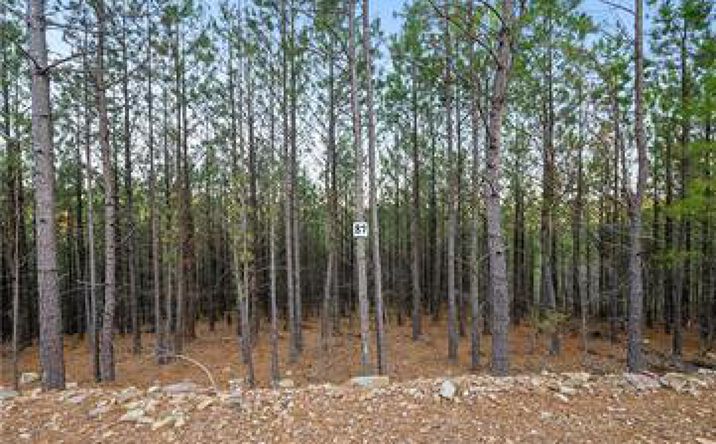 Pictures of Land property located at 97 Monterey Oak Trl, Broken Bow, OK 74728 for sales - image #1