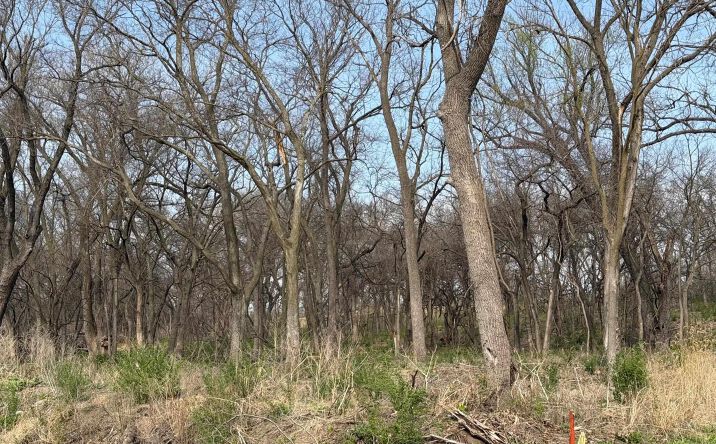 Pictures of Land property located at Military Trail, Manhattan, KS 66502 for sales - image #1
