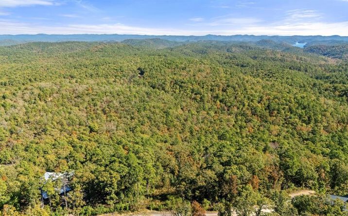 Pictures of Land property located at 138 Vista Del Lago Trl, Broken Bow, OK 74728 for sales - image #1