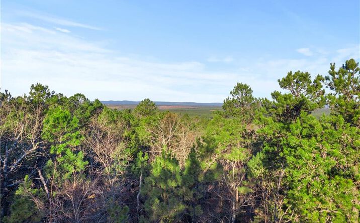 Pictures of Land property located at 87 Monterey Oak Trl, Broken Bow, OK 74728 for sales - image #1