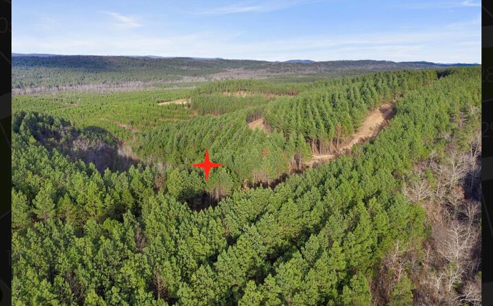 Pictures of Land property located at 905 Timberline Trail, Broken Bow, OK 74728 for sales - image #1