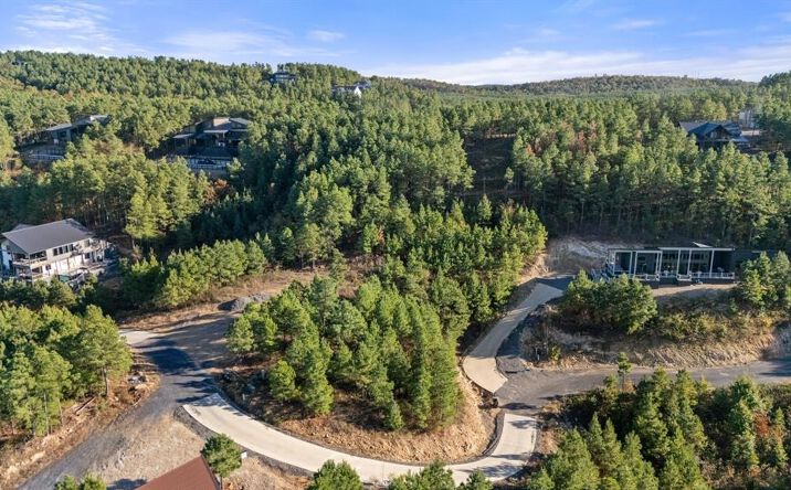 Pictures of Land property located at 346 Overcup Oak Trl, Broken Bow, OK 74728 for sales - image #1