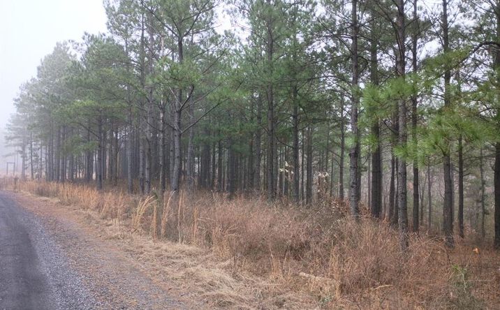 Pictures of Land property located at 460 Timberline Trail, Broken Bow, OK 74728 for sales - image #1