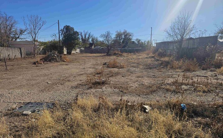 Pictures of Land property located at 1005 W Fox Street, Carlsbad, NM 88220-4310 for sales - image #1