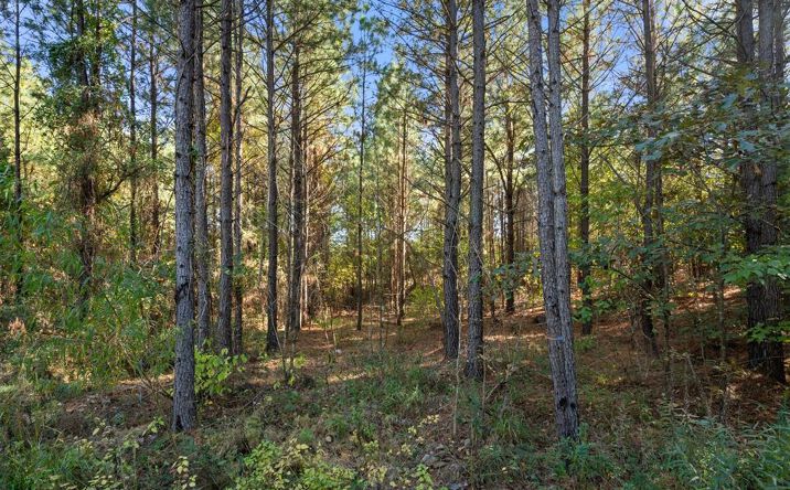 Pictures of Land property located at 24 Cedar Tree Trl, Broken Bow, OK 74728 for sales - image #1
