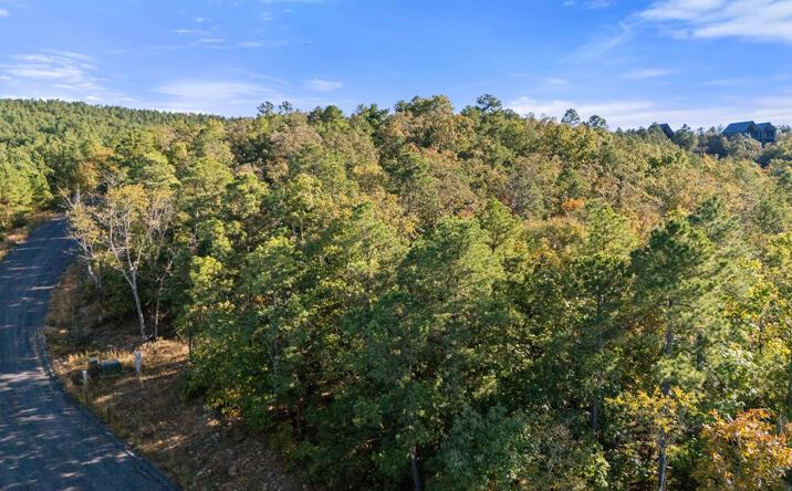 Pictures of Land property located at 215 Sierra Vis Trl, Broken Bow, OK 74728 for sales - image #1