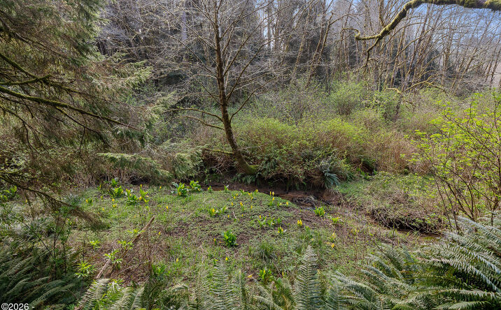 Pictures of Land, Multifamily property located at TL 10400 NE Sal La Sea Drive, Lincoln City, OR 97367 for sales - image #1