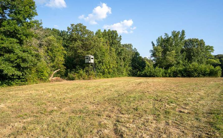 Pictures of Land property located at 0 County Rd 530, Williamsville, MO 63967 for sales - image #1