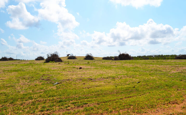 Pictures of Land property located at Garfield Nursery Road, Lake Wales, FL 33827 for sales - image #1