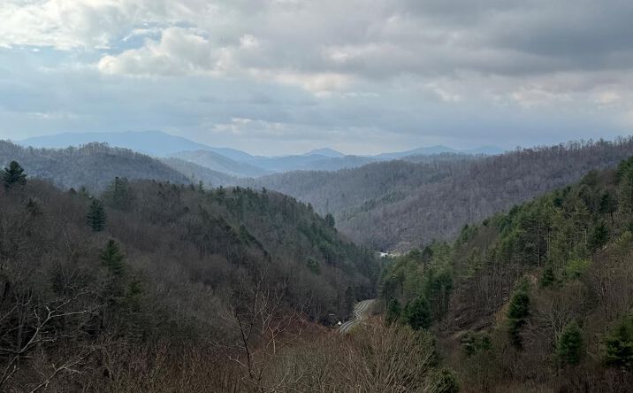 Pictures of Land, Multifamily property located at TBD Bear Wallow Rd., Lansing, NC 28643 for sales - image #1