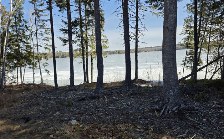 Pictures of Land property located at little river cove road west, Weston, ME 04424 for sales - image #1