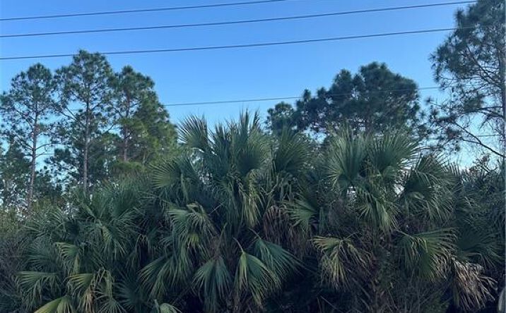Pictures of Land property located at 665 Woodcrest Dr, Lehigh Acres, FL 33972 for sales - image #1
