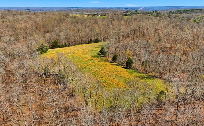 Pictures of Land property located at Herman Adams Rd, Cumberland City, TN, TN 37061 for sales - image #1