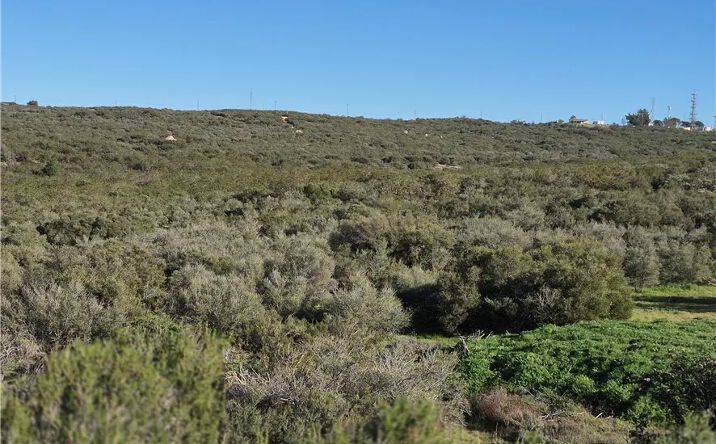 Pictures of Land property located at Tierra Del Sol, Boulevard, CA 91905 for sales - image #1