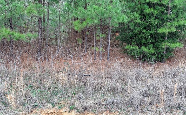 Pictures of Land property located at 2012 Shannon Rd, Bessemer, AL 35022 for sales - image #1