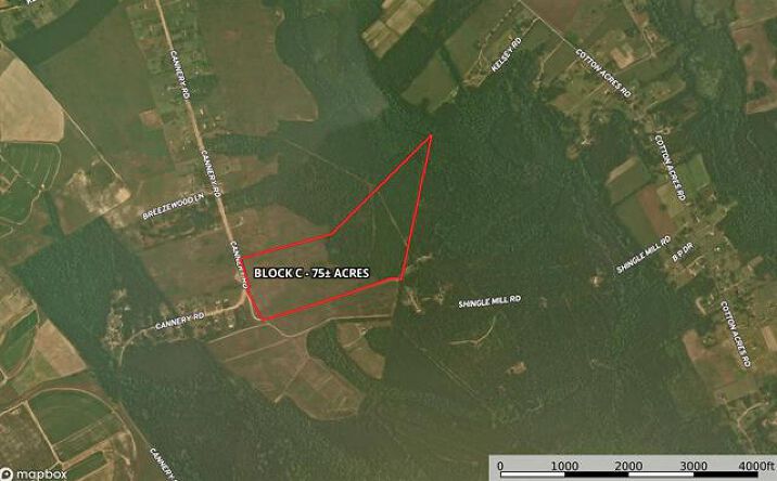 Pictures of Land property located at 0 Cannery Rd, Dalzell, SC 29040 for sales - image #1