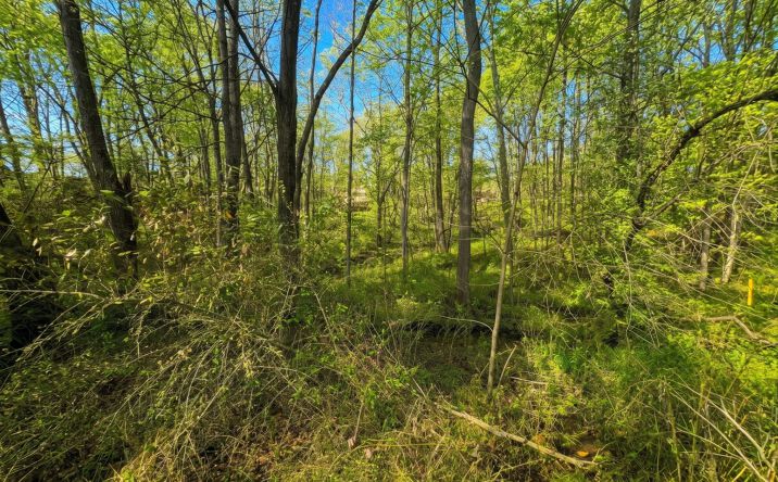 Pictures of Land property located at Bohl Dr, Devola, OH 45750 for sales - image #1