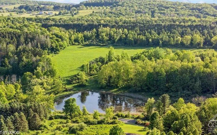 Pictures of Land property located at 0 Skunks Misery Millerton, Millerton, NY 12546 for sales - image #1