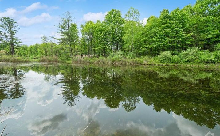 Pictures of Land property located at 0 Skunks Misery Road Millerton, Millerton, NY 12546 for sales - image #1