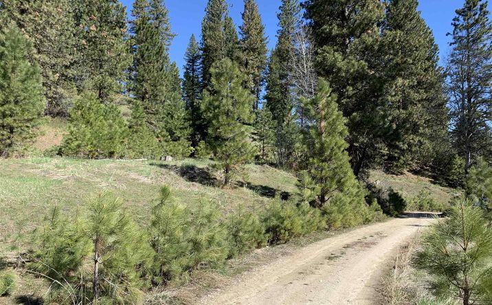 Pictures of Land property located at 32 Pne Hts Dr, Boise, ID 83716 for sales - image #1