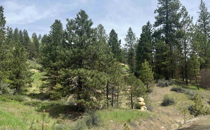 Pictures of Land property located at 22 White Rock Trl, Boise, ID 83716 for sales - image #1