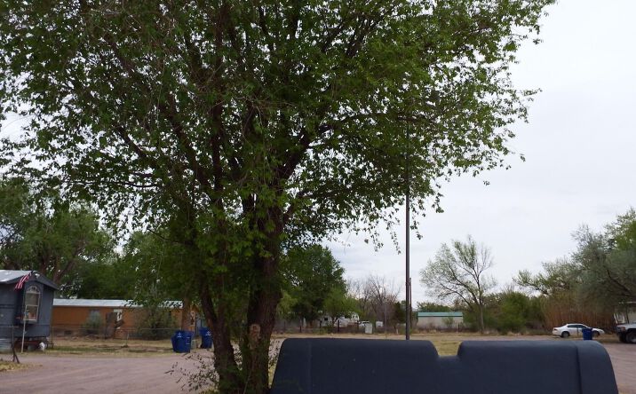 Pictures of Retail property located at 401-413 Eastwood Loop, Socorro, NM 87801 for sales - image #1