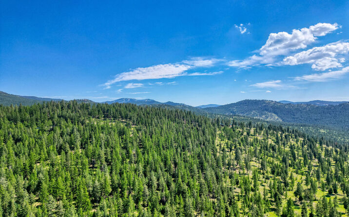 Pictures of Land property located at 386 Racheals Meadow Lane, Kila, MT 59920 for sales - image #1