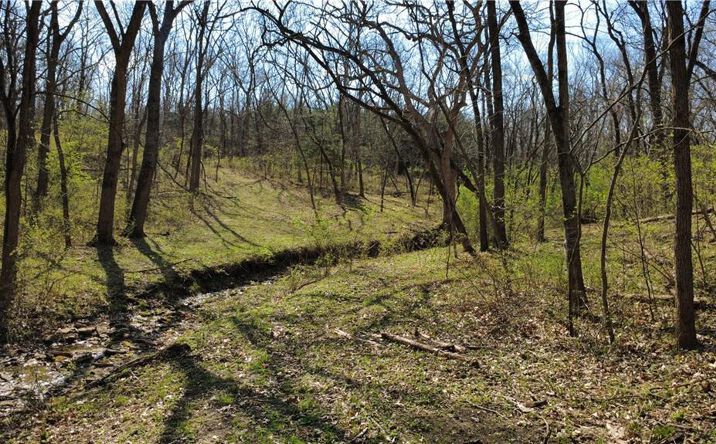 Pictures of Land, Special Purpose property located at 1611 Sunrise Drive, Smithville, MO 64089 for sales - image #1