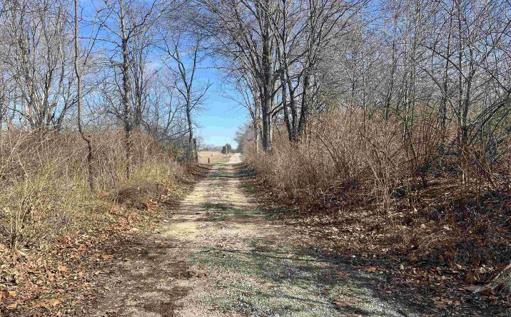 Pictures of Land property located at RR E TOOT PLACE Lane, Lewistown, IL 61542 for sales - image #1