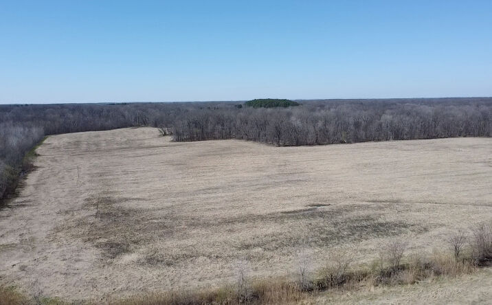 Pictures of Land property located at 4771 Sullens Avenue, Iuka, IL 62849 for sales - image #1