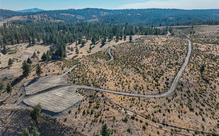Pictures of Land property located at 0 Evergreen Camp Rd, Chelan, WA 98816 for sales - image #1