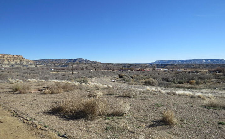 Pictures of Land property located at 335 ROAD 4599, Blanco, NM 87412 for sales - image #1