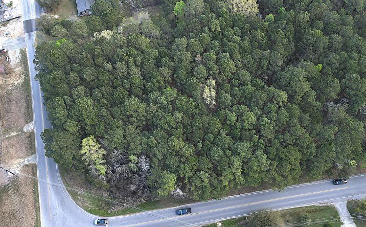 Pictures of Land property located at 00 Clemants Ferry, Charleston, SC 29492 for sales - image #1