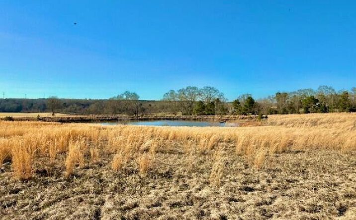 Pictures of Land property located at 2007 Hillside Drive, Magnolia, MS 39652 for sales - image #1