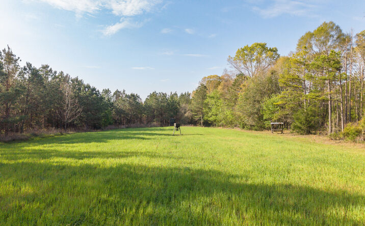 Pictures of Land property located at Sawyer Ln, Forest Home, AL 36030 for sales - image #1