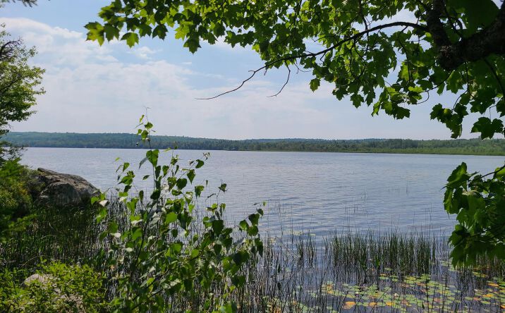 Pictures of Land property located at 1235 Ayers Junction Rd, Charlotte, ME 04666 for sales - image #1