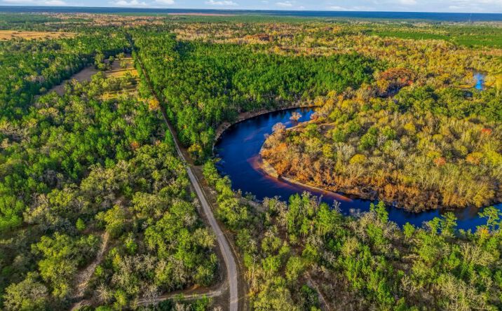 Pictures of Land property located at Rivers Edge Rd/Hwy 178, Reidsville, GA 30453 for sales - image #1
