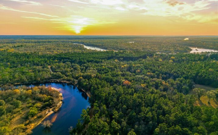 Pictures of Land property located at Rivers Edge Road/Hwy 178, Reidsville, GA 30453 for sales - image #1