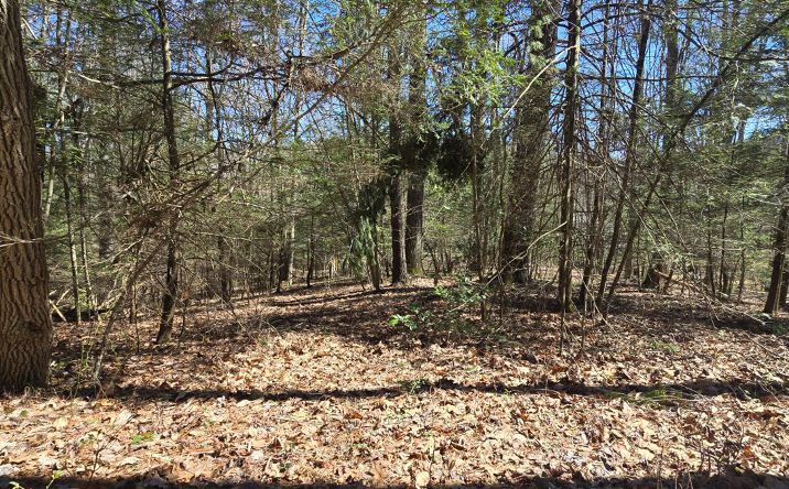 Pictures of Special Purpose property located at Redbud, Daniels, WV 25832 for sales - image #1