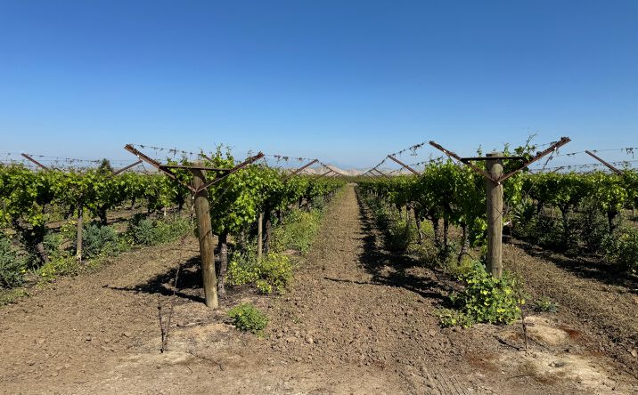 Pictures of Land property located at Rd 188, Exeter, CA 93221 for sales - image #1
