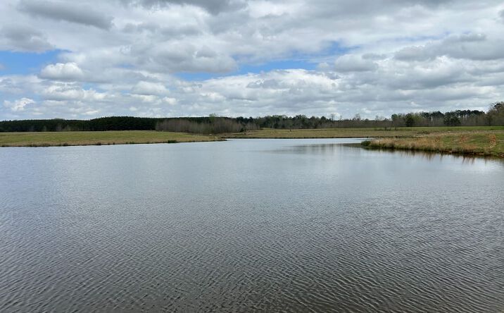 Pictures of Land property located at 0 Cr 413, New Houlka, MS 38850 for sales - image #1