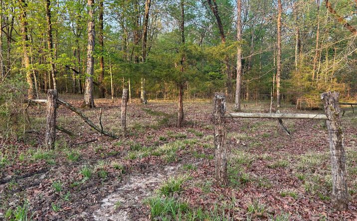 Pictures of Land property located at 0 Hwy 41, Okolona, MS 38860 for sales - image #1