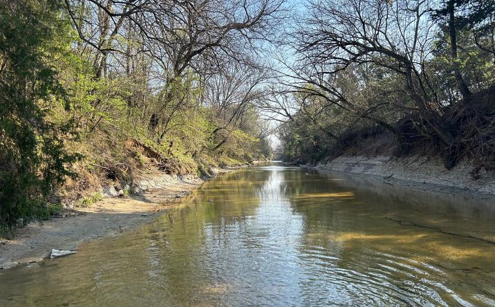 Pictures of Land property located at 0 Hwy 245, Okolona, MS 38860 for sales - image #1