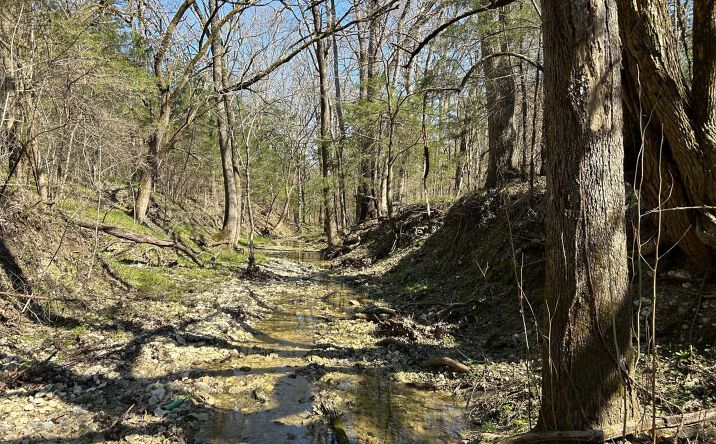 Pictures of Land property located at 0 Camargo Rd, Nettleton, MS 38858 for sales - image #1