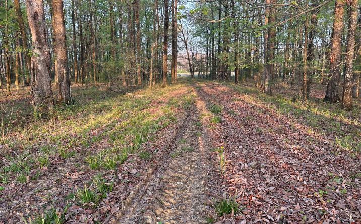Pictures of Land property located at 0 Hwy 45 Alt, Okolona, MS 38860 for sales - image #1