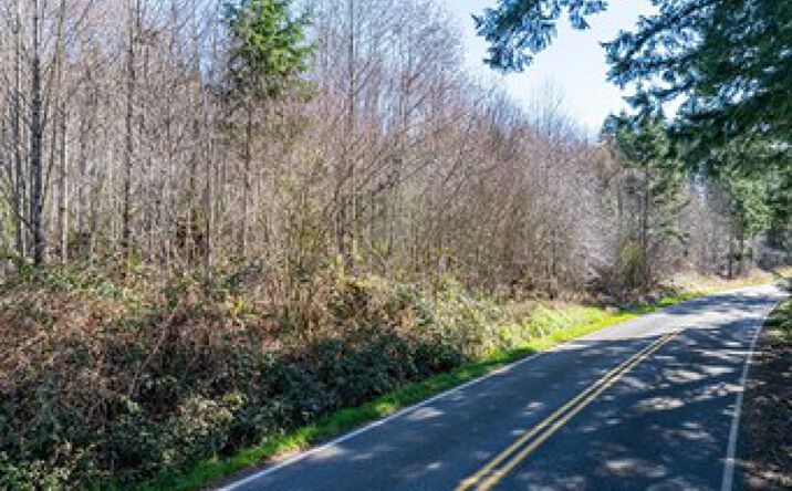 Pictures of Land property located at Summit Lake Rd NW, Olympia, WA 98502 for sales - image #1