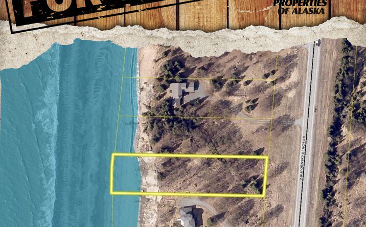 Pictures of Land property located at L9 Sea Watch Estates Sub, Kenai, AK 99611 for sales - image #1