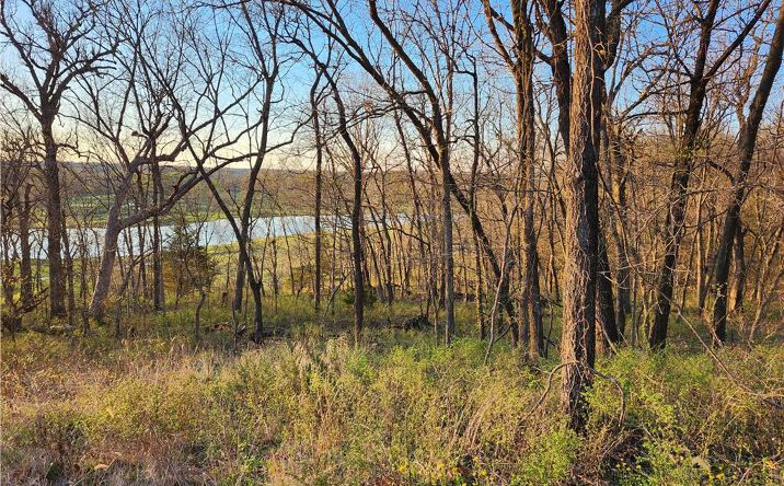 Pictures of Land, Special Purpose property located at 9 Kice Court, Linn Valley, KS 66040 for sales - image #1