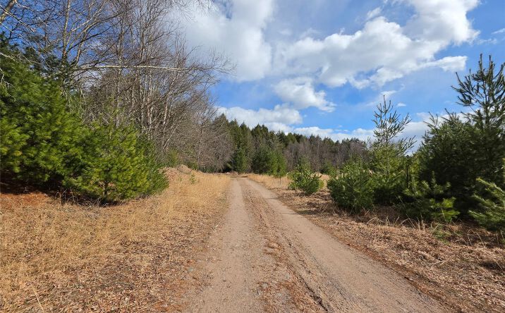 Pictures of Land property located at TBD Bobwhite Trail, Bethel, NY 12762 for sales - image #1